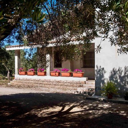 Villa Hermosa Альгеро Экстерьер фото